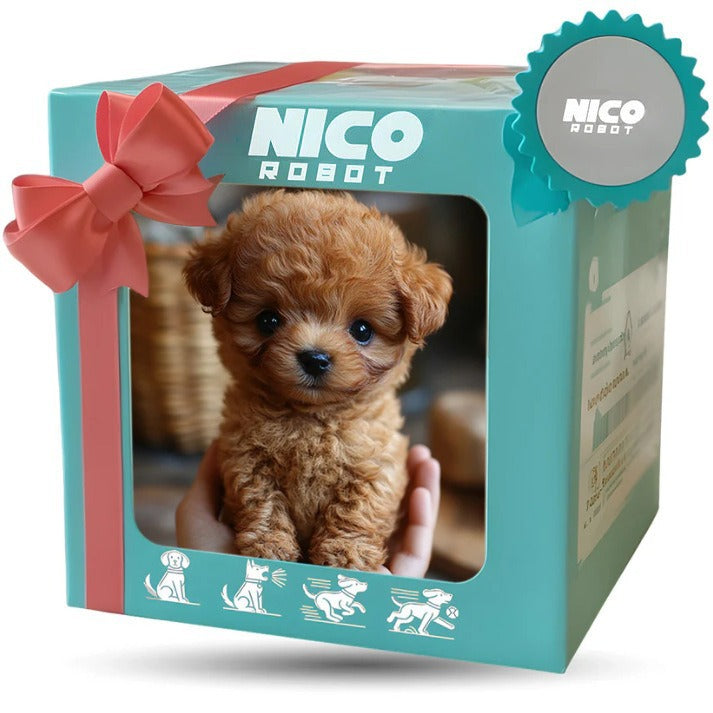 Giftschorm product media