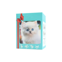 ✨ Custom Edition – White Fluffy Kitten 🤍🐱