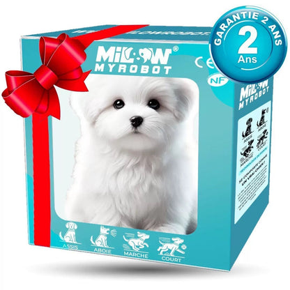 Giftschorm product media