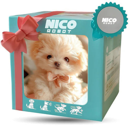 Giftschorm product media